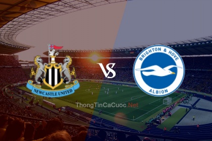 Trực tiếp bóng đá Newcastle vs Brighton – 1h30 ngày 19/5/23